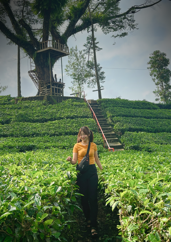 A Quite Place to Belong