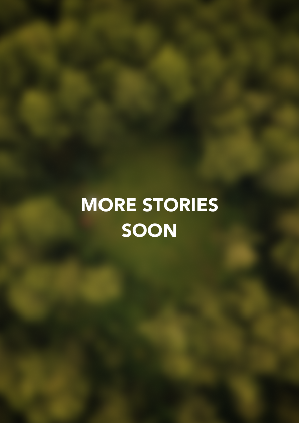 Background of a beautiful view